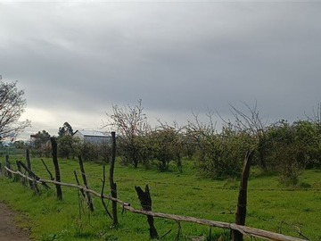 Venta / Terreno / Chillán Viejo
