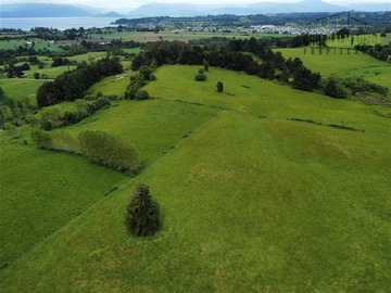 Terreno Agricola en venta en A 7 km de Entrelagos y a 1km de la ruta internacional 215, Puyehue