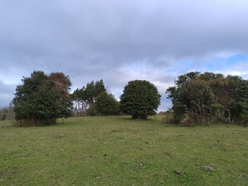 Terreno Agricola en venta en Venta de 4 Has en Pumaihue Comuna de la Union