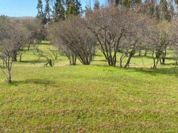 Parcela en venta en I-204, Marchigüe