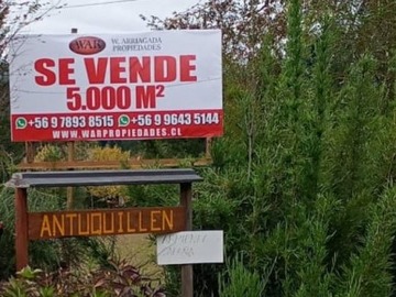 Venta / Parcela / Villarrica