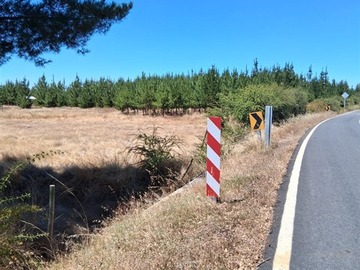 Sitio en venta en Ruta M - 730 con Ruta M - 70, Cauquenes
