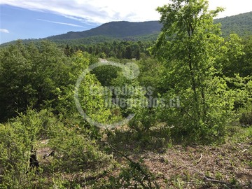 Sitio en venta en Monte Grande, Curicó