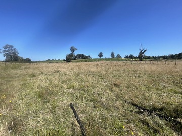 Terreno Agricola en venta en Fundó los toros v-46, Fresia