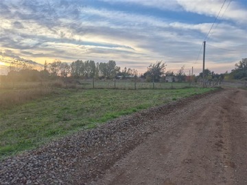 Venta / Sitio / Coihueco