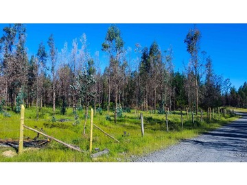 Parcela en venta en Chancal, Quillón