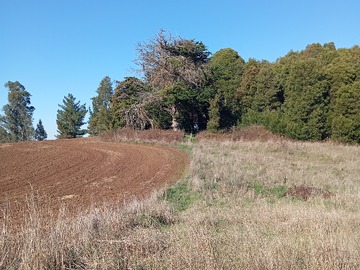 Terreno en venta en Camino a Quillem km 4 Lautaro., Lautaro