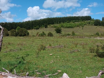 Terreno en venta en Terreno en Sector los Cuncos Camino Cudico, La Unión, Los Ríos