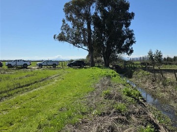 Parcela en venta en 90, Peralillo