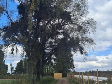 Parcela en venta en hijuela numero 4 Fundo Esperanza, Talca
