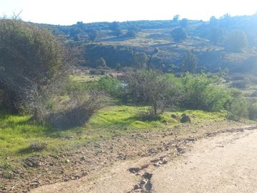 Parcela en venta en Matanza, Litueche