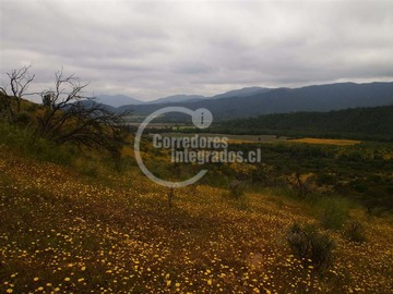 Casa en venta en Camino Perales sector Tapihue, km 18 (ruta F864G) Casablanca MLA, Casablanca
