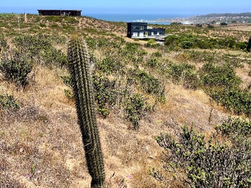 Terreno en venta en Terreno con vista al mar en Condominio (136115), La Ligua