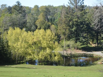 Sitio en venta en Camino villarrica - loncohe, Villarrica