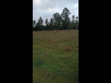 Terreno en venta en Pitrufquen, Pitrufquén