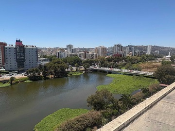 Departamento en arriendo mensual en hermoso Depto Marzo a Dic 2027 viña centro (182535), Viña del Mar - 1 dormitorio, 1 baño