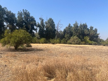 Parcela en venta en Chacabuco, Colina