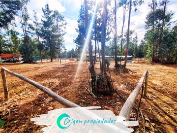 Terreno en venta en Camino antiguo Algarrobo, El Quisco