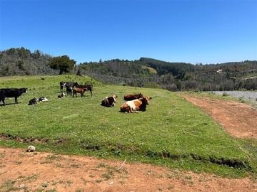 Venta / Parcela / Tomé