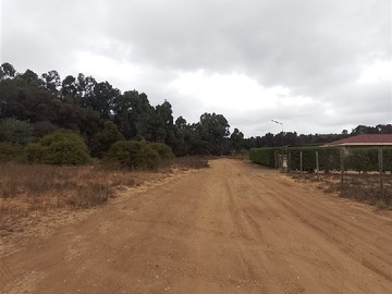 Terreno en venta en Ruta f232 mantagua, Quintero