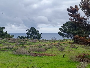 Terreno en venta en Camino Al Faro, Valparaíso, Valparaíso 2340000, Chile, Valparaíso