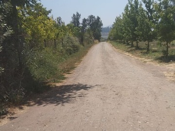Venta / Terreno Agricola / Buin