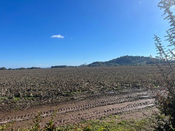 Terreno Agricola en venta en Tres puertas 33 hectáreas suelo cultivable (170595), San Clemente