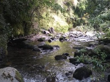Parcela en venta en Camino a Pino Huacho - Ruta 961, Villarrica