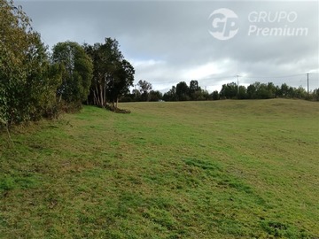 Parcela en venta en Sector rural llau llao alto, Castro