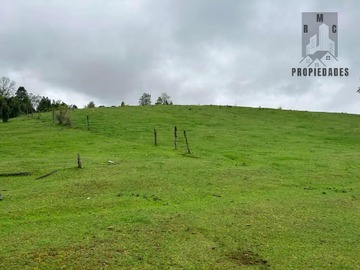 Terreno Agricola en venta en Lipingue, Los Lagos