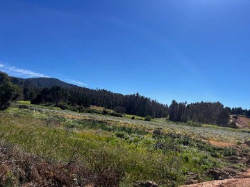 Terreno en venta en ultimas parcelas en ranquil ñipas (82757), Ránquil