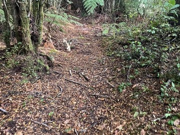 Sitio en venta en Alerce Andino, Puerto Montt