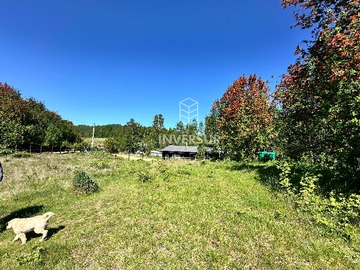 Terreno en venta en Amplia Parcela con Entorno Natural (135336), Valdivia