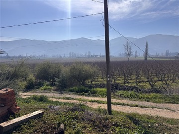 Terreno Agricola en venta en Cocalán/San Andrés, Las Cabras - 4 dormitorios, 2 baños