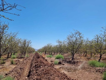 Terreno en venta en Compra tu parcela con crédito directo! (152889), Ovalle