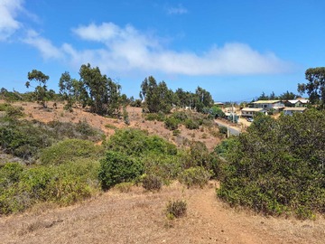 Terreno en venta en Terr. Cerca del mirador del yeco ii (66378), Algarrobo