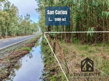 Parcela en venta en Ruta N-760-M, San Carlos, Ñuble 3840000, Chile, San Carlos