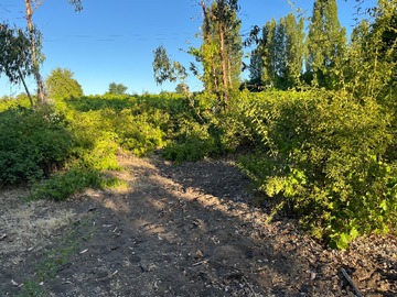 Terreno Agricola en venta en Q-288 millantú, Los Ángeles