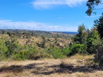 Parcela en venta en Camino Las Dichas, Algarrobo