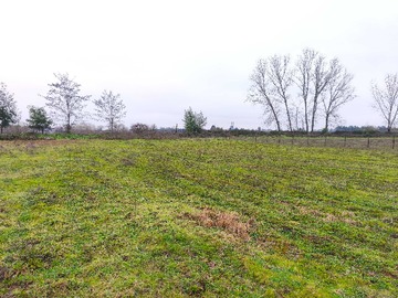 Terreno en venta en Venta parcela 2 hectáreas 1/4 a orilla de camino (177213), San Rafael