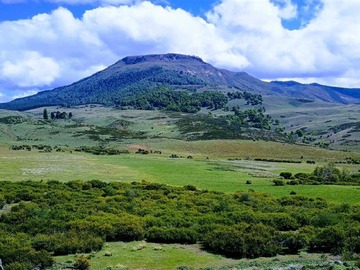 Venta / Terreno / Lonquimay