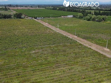 Terreno en venta en Parcelas Camino a Cato (134864), Chillán