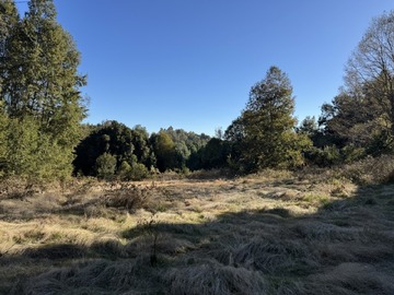 Parcela en venta en Villarrica, Villarrica