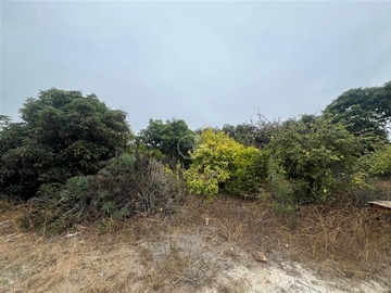 Sitio en venta en Huertos de Chile, Santo Domingo
