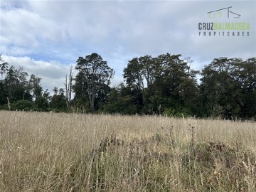 Terreno Agricola en venta en Campo 26 hectáreas en Loncotoro, a solo 20 minutos de la ciudad de Llanquihue., Llanquihue