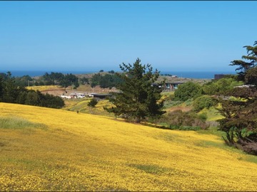 Sitio en venta en Camino Viejo a Punta de Lobos, Pichilemu