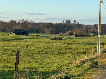 Parcela en venta en Los Robles De Pilauco, Osorno