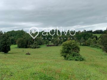 Terreno en venta en Río Bueno, Folilco, Río Bueno