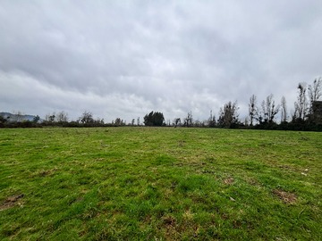 Terreno Agricola en venta en Predio 11,7 ha con Potencial Agrícola y Parcelac (177875), Villa Alegre