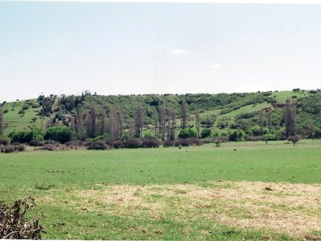 Parcela en venta en Parcela en Venta Litueche VI Region